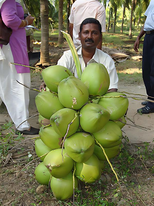 WhatsApp Image 2025-06-20 at 17.10.54_a399a68c