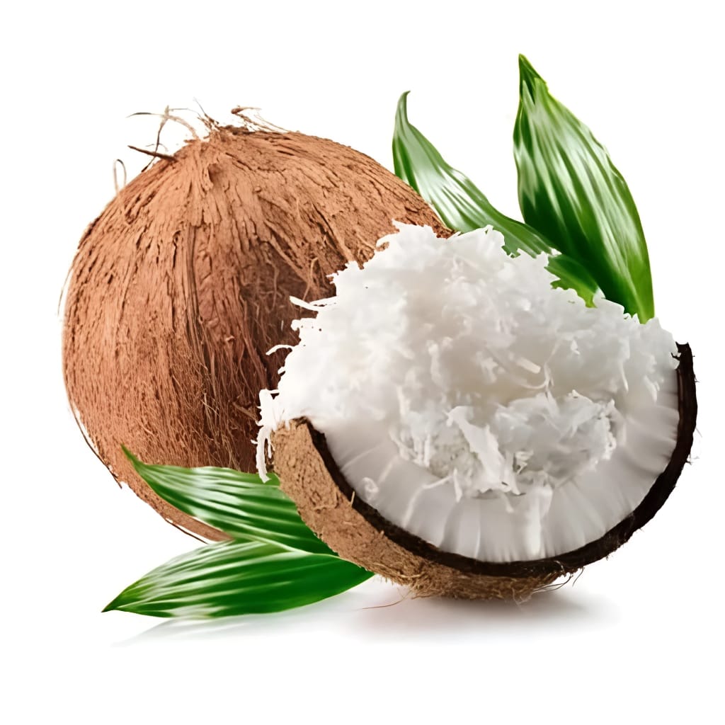 WhatsApp Image 2025-06-20 at 17.33.40_7a2dc51a